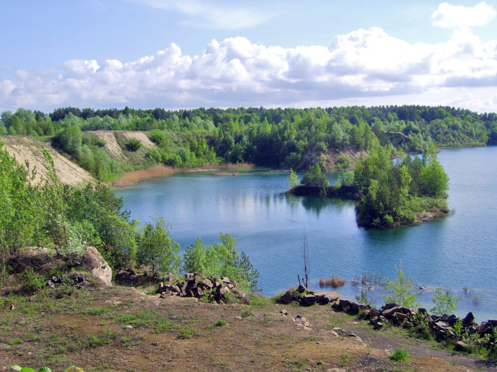 Костопільський район